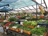 2010-06-11_10-54-56