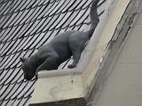 2010-06-12_12-51-34